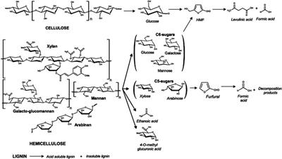 Competing Reactions Limit Production of Sugars in Hydrothermal Hydrolysis of Grass Silage: An Assessment of the Effect of Temperature on Sugar Production and Parasitic Energy Demand